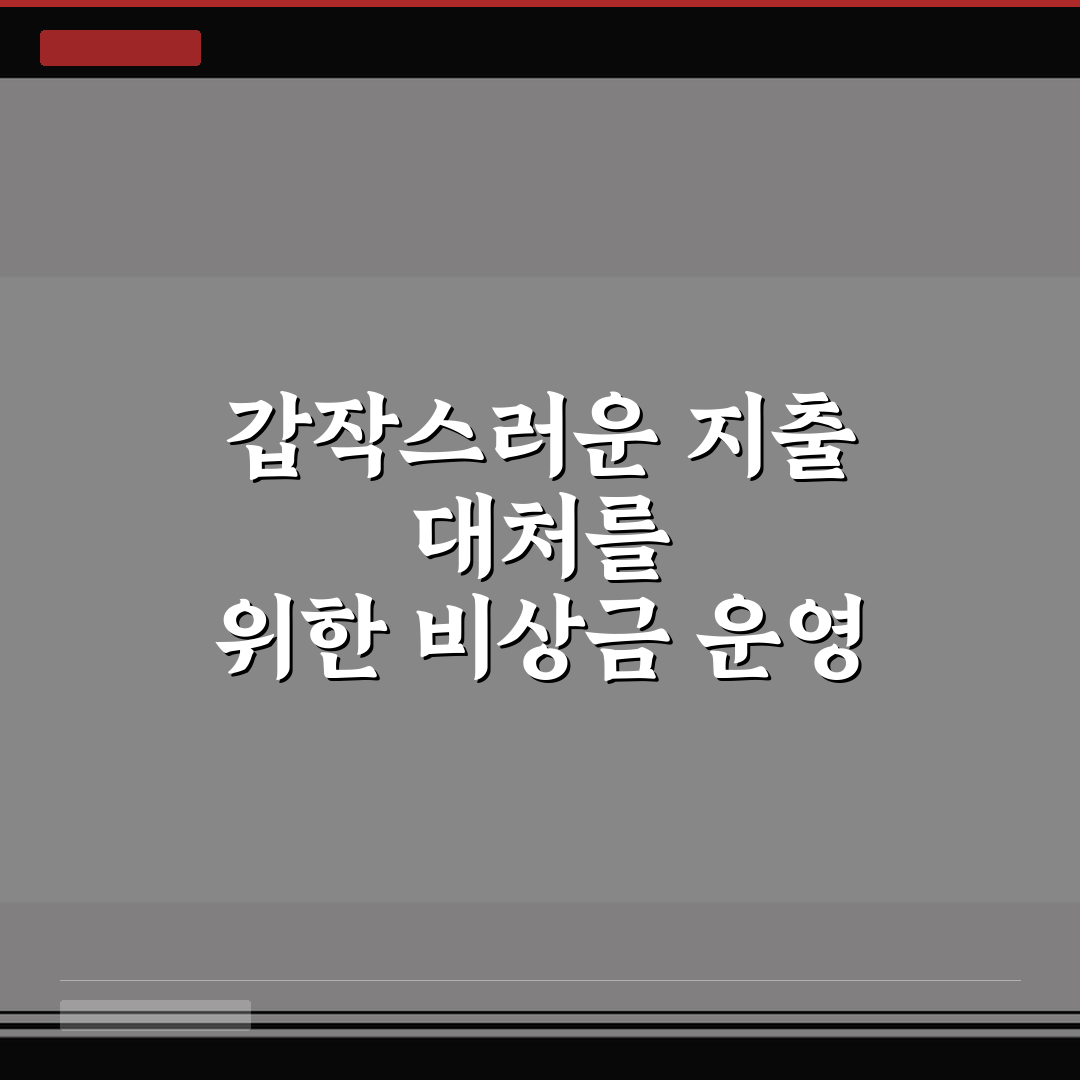 갑작스러운 지출 대처를 위한 비상금 운영 원칙, 초보에게 알려드려요