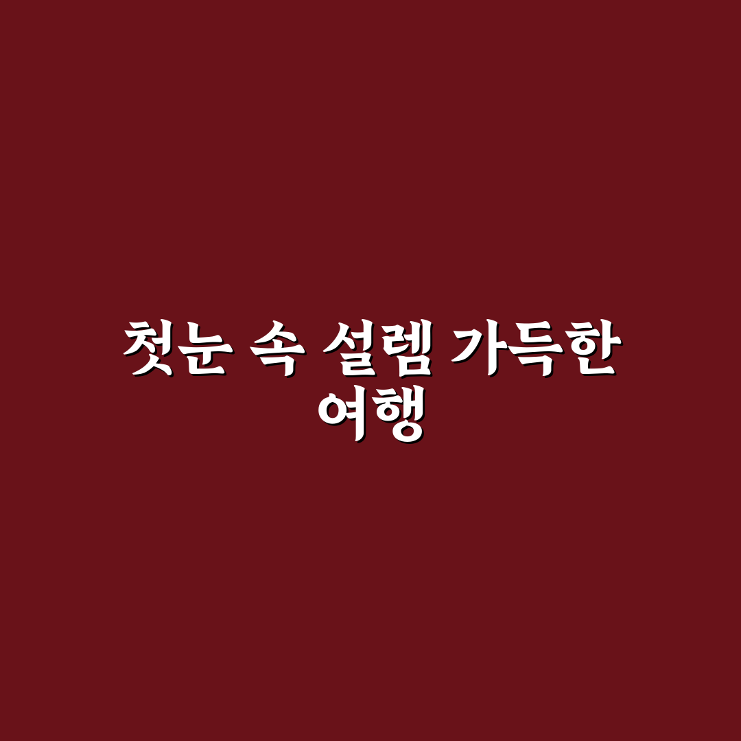 겨울 설경 눈꽃 코스와 기차 또는 자차 일정 정리 솔직후기