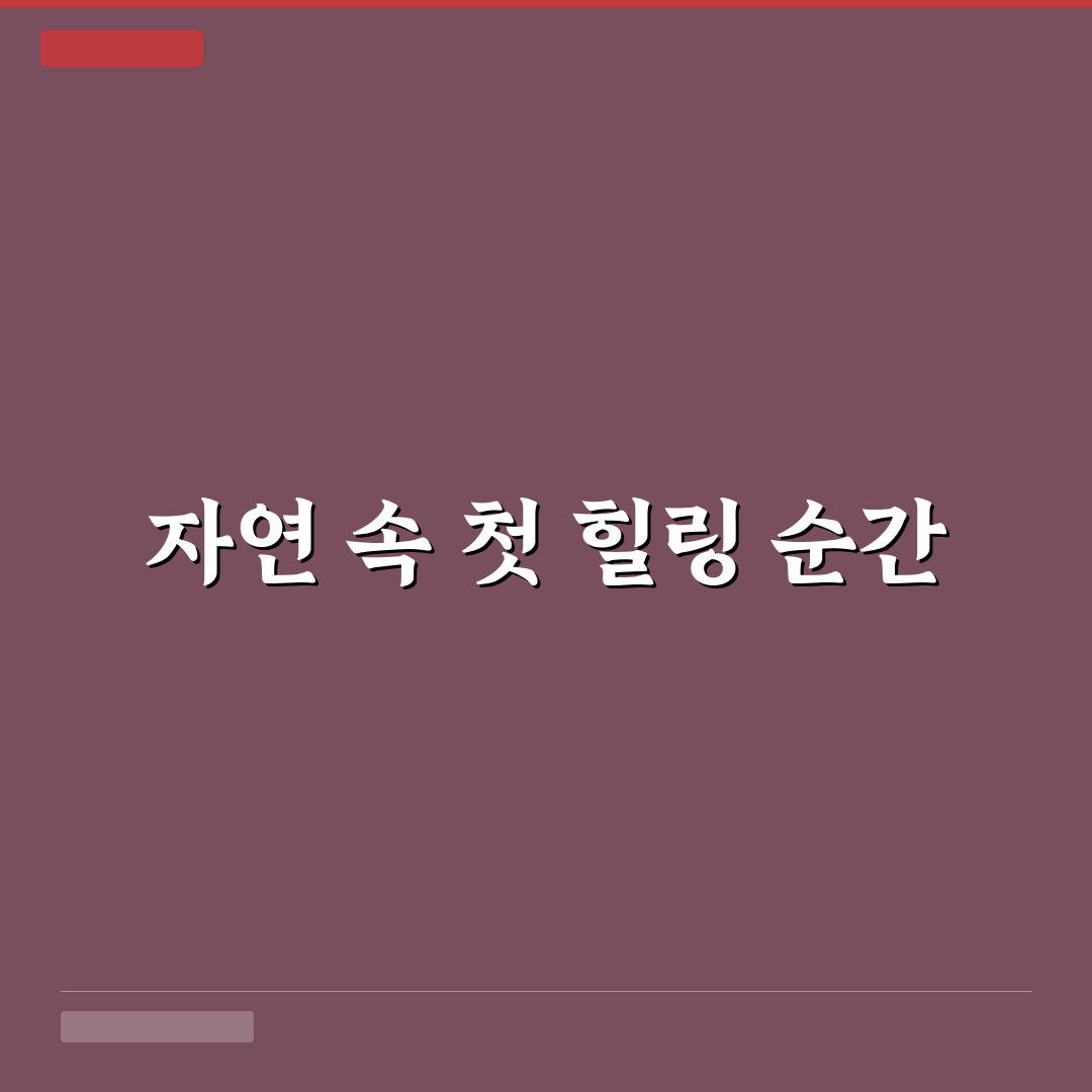 영월 평창 힐링 코스와 조용한 숙소 중심 일정 직접 써본 후기