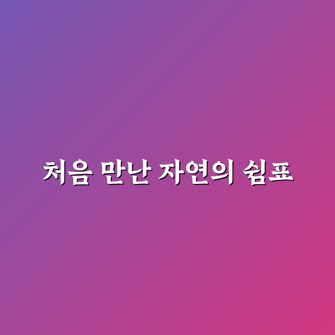 태교 여행 숲 코스와 편안한 숙소 중심 동선 직접 써본 후기
