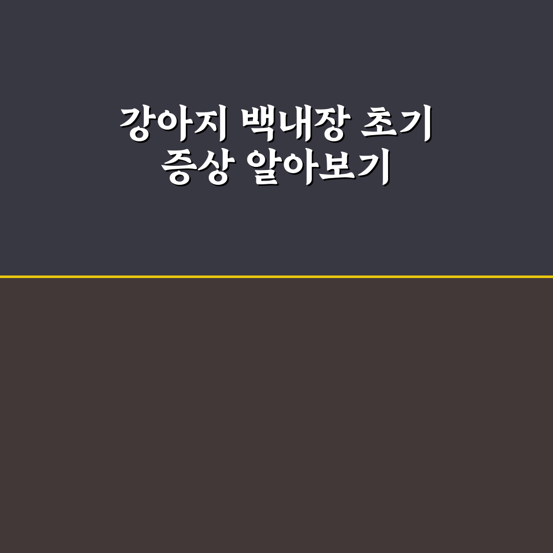 강아지 백내장 초기 증상과 관리 꿀팁 알려드려요