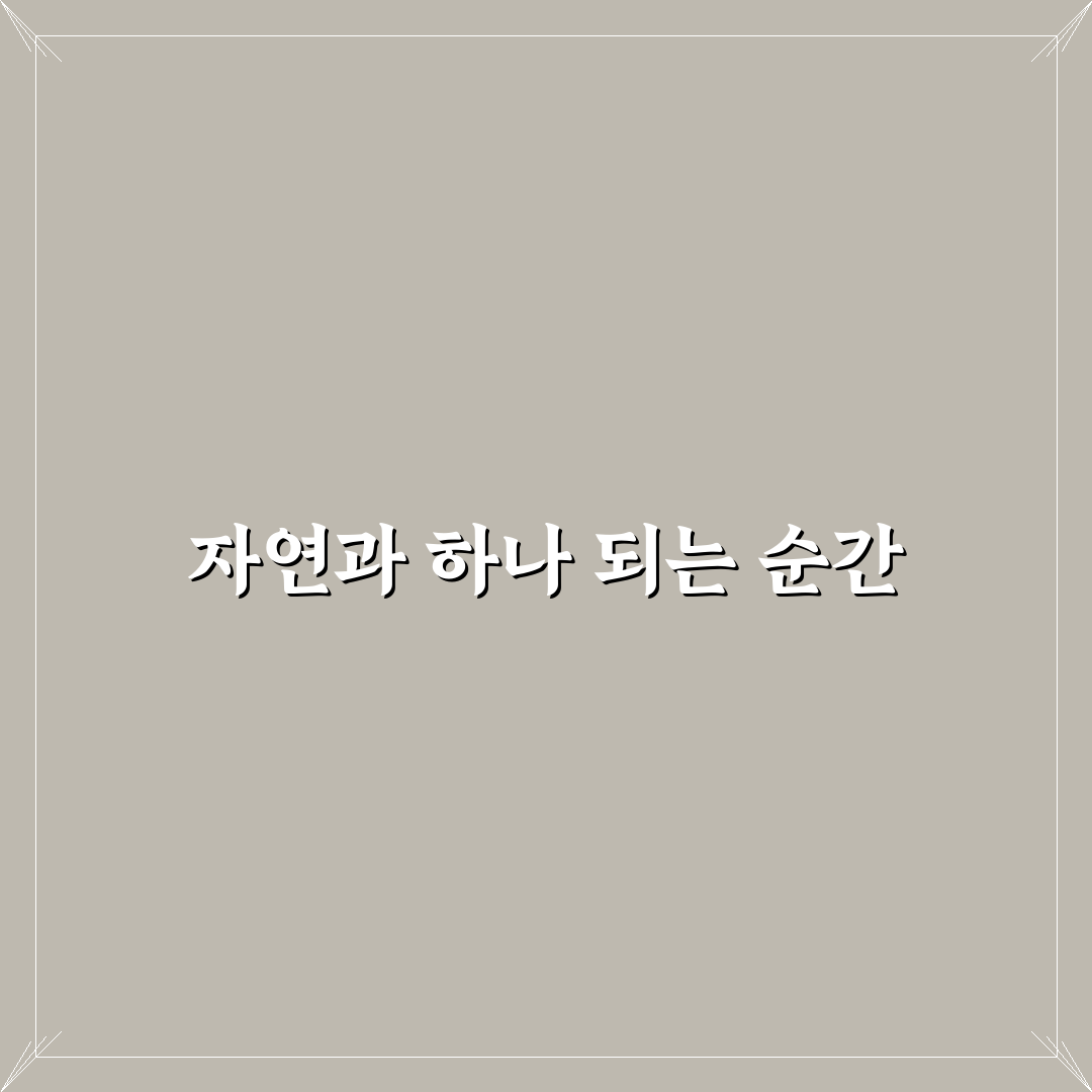 문경새재 트레킹 코스와 초보자 걷기 좋은 구간 직접 써본 후기