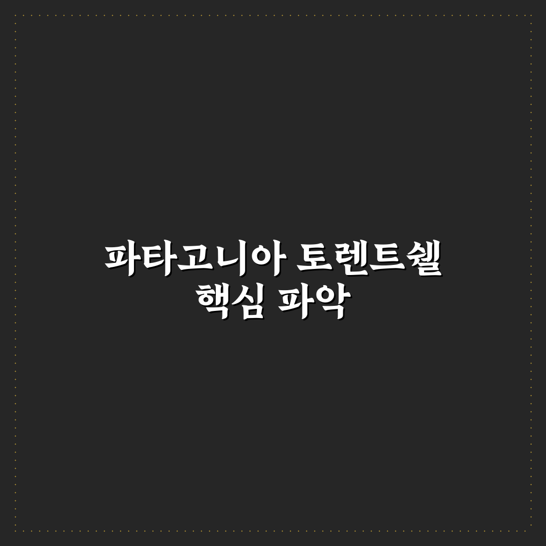 파타고니아 토렌트쉘 착용법과 관리 꿀팁 알려드려요