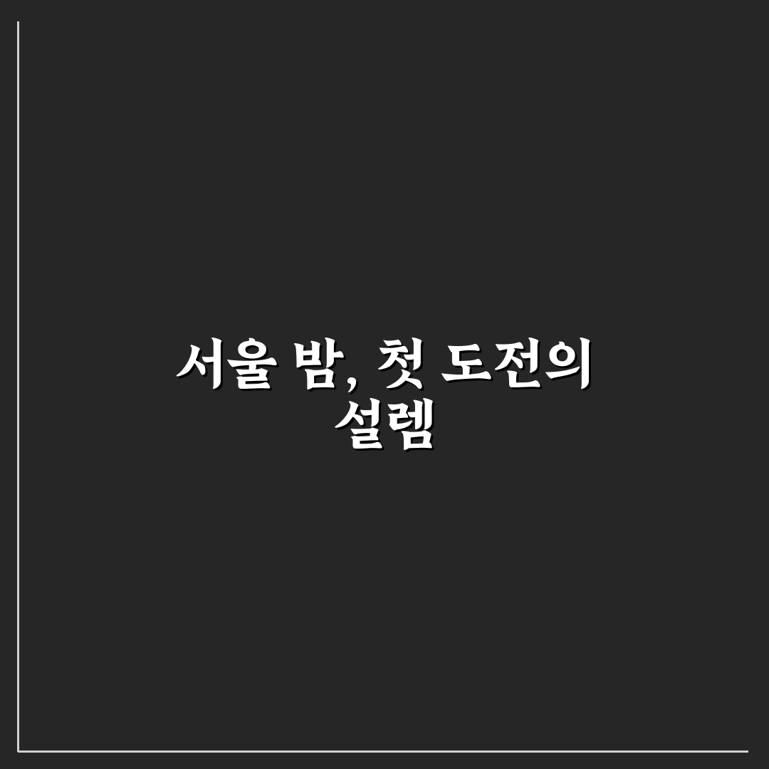 서울 야경 출사 코스와 사진 잘 나오는 시간대 정리 사용후기
