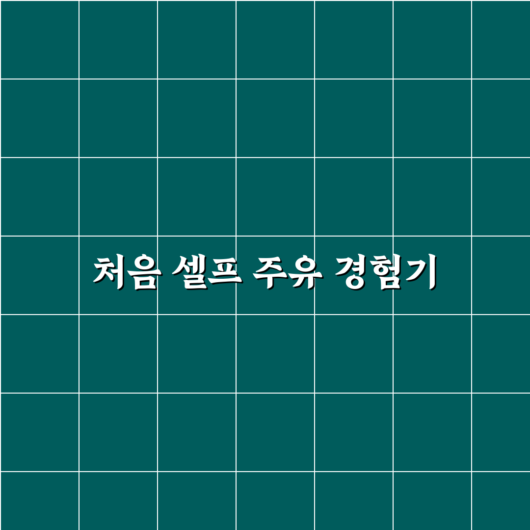 셀프 주유소 이용 방법과 처음 할 때 실수 줄이는 팁 직접 써본 후기