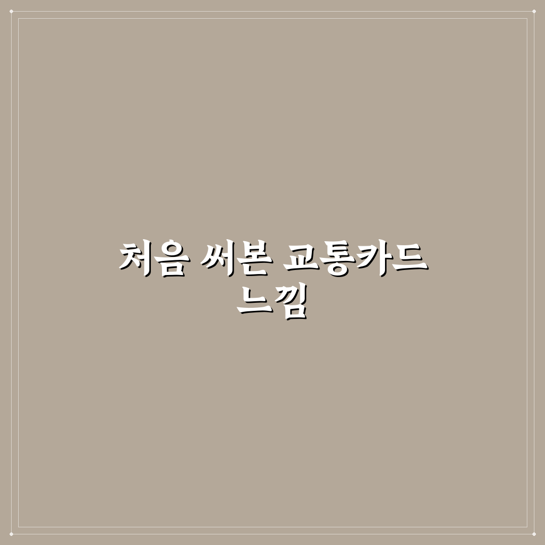 버스 환승 혜택 최대화하는 교통카드 사용 순서 직접 써본 후기