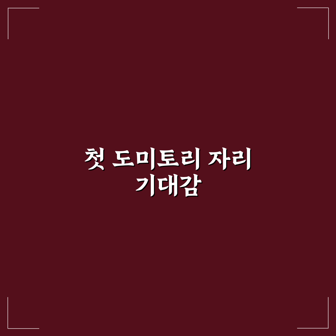 도미토리 선택 시 수면 방해 줄이는 자리 고르는 법 리얼후기