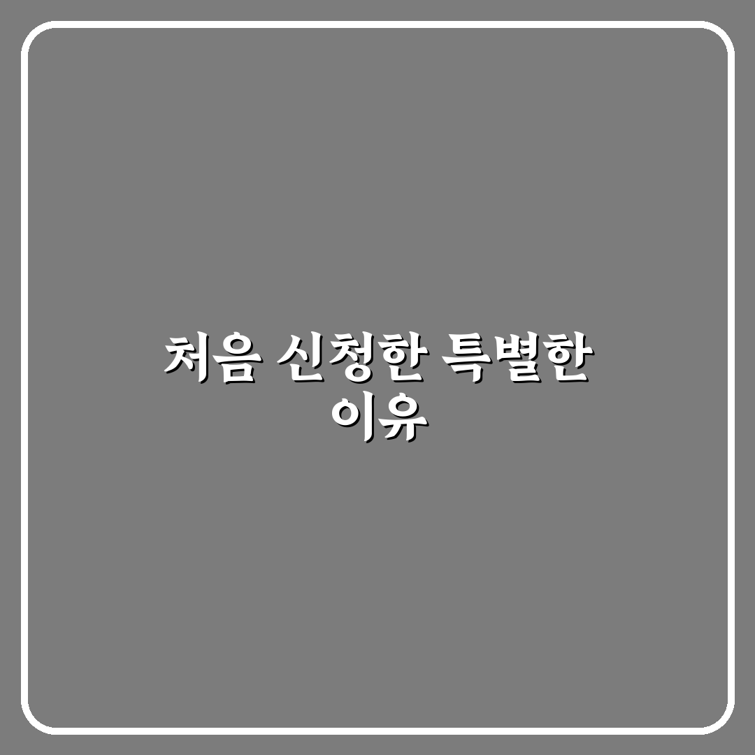 기내식 특별 기내식 신청 가능한 종류와 예약 시점 리얼후기