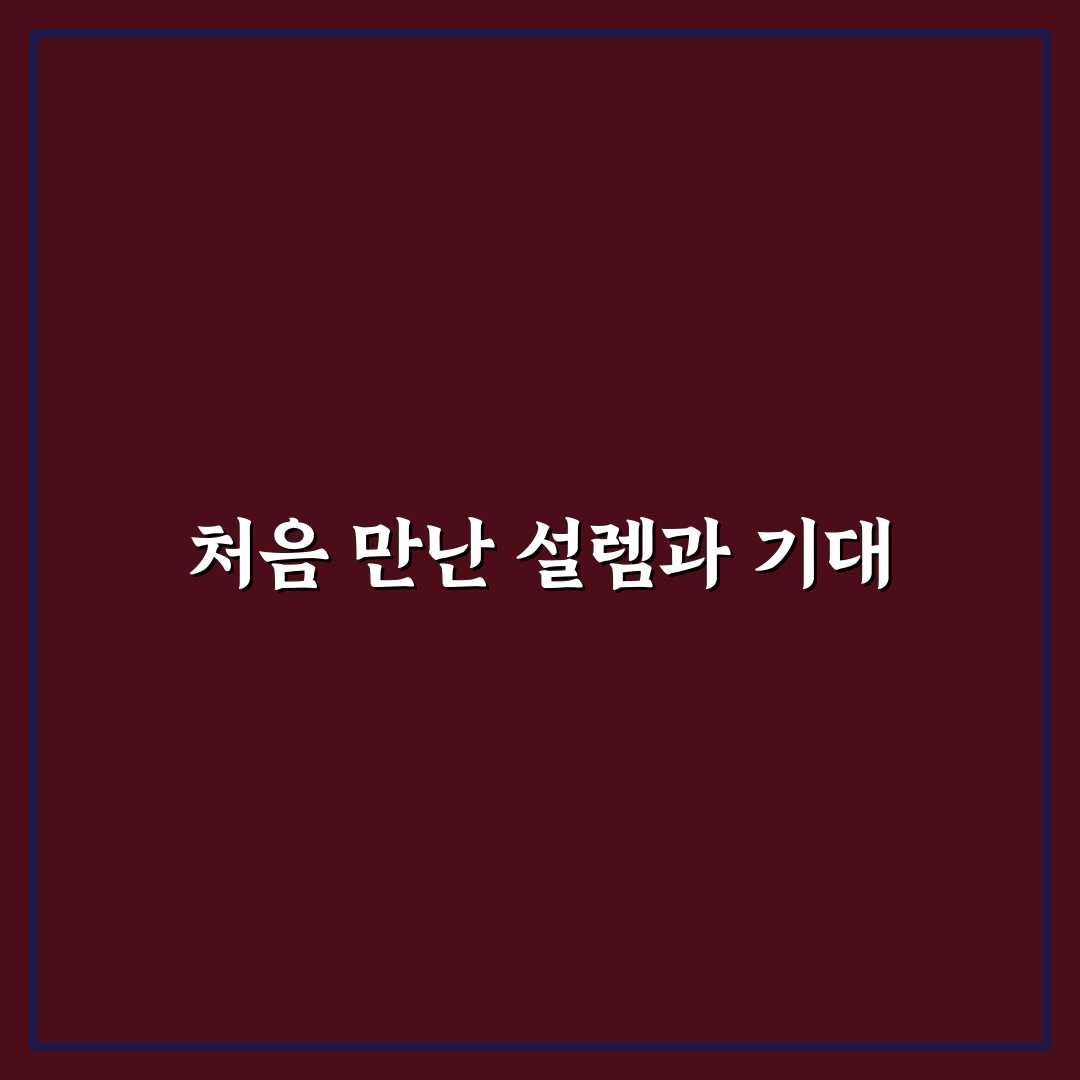 트래블로그 트래블월렛 차이로 본 결제 카드 선택 기준 사용후기