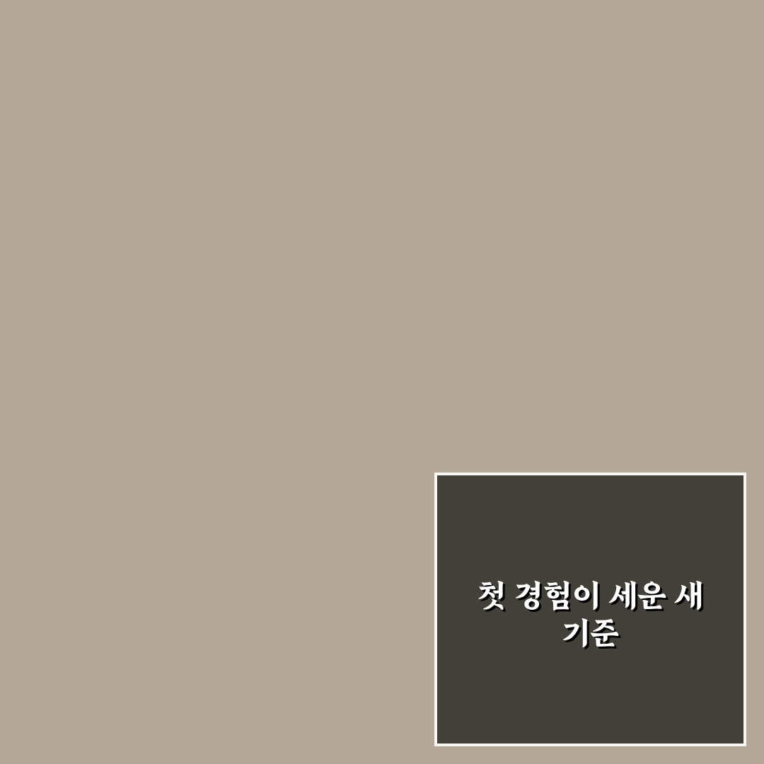 여행지 주차장 예약 팁과 주말 만차 피하는 사전 준비 사용후기