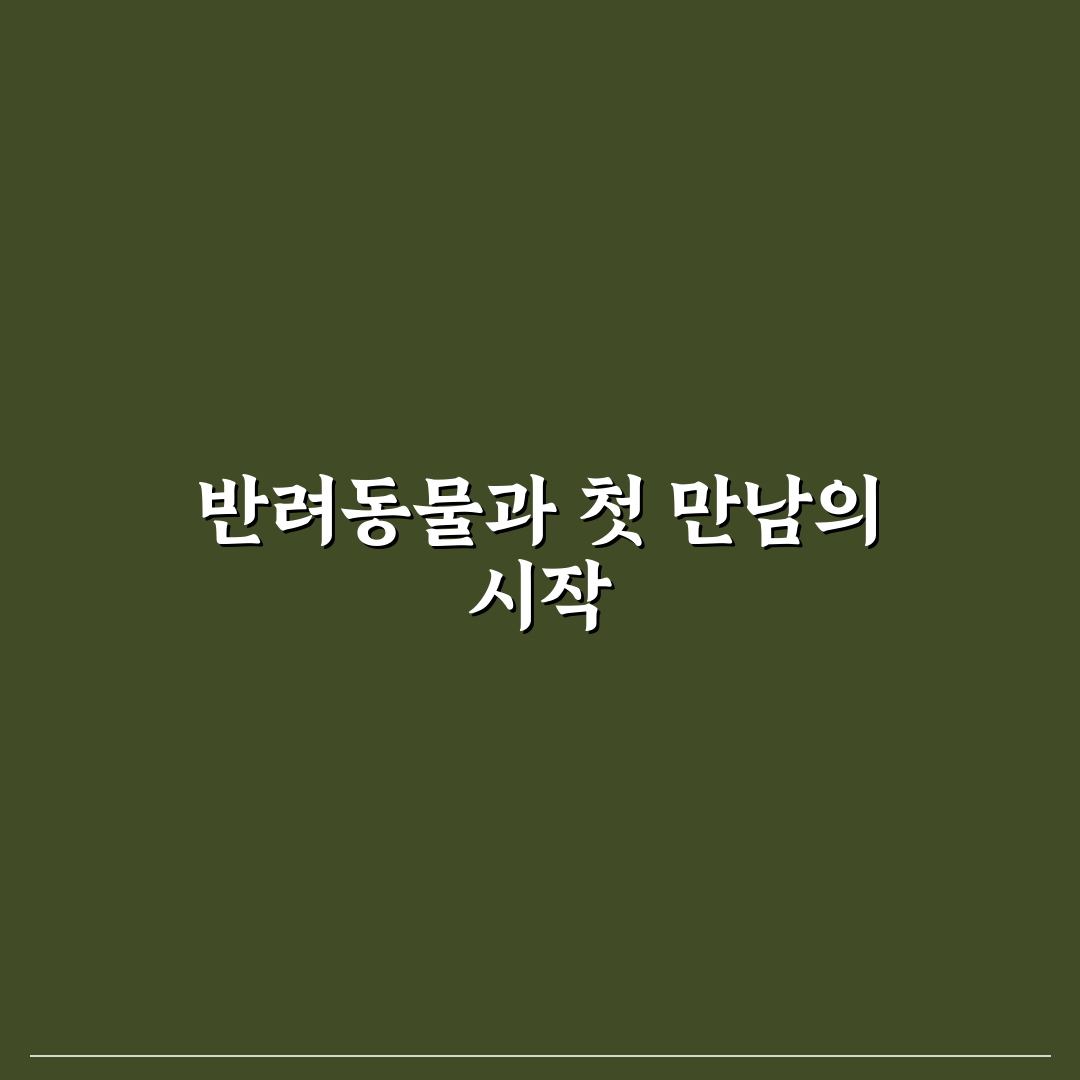 반려동물 동반 산책 코스와 펫프렌들리 동선 짜는 법 사용후기