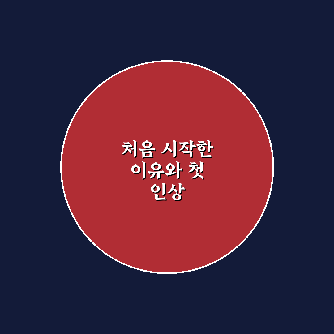 여행지 언어 기초 표현부터 외우는 생존 회화 정리 사용후기