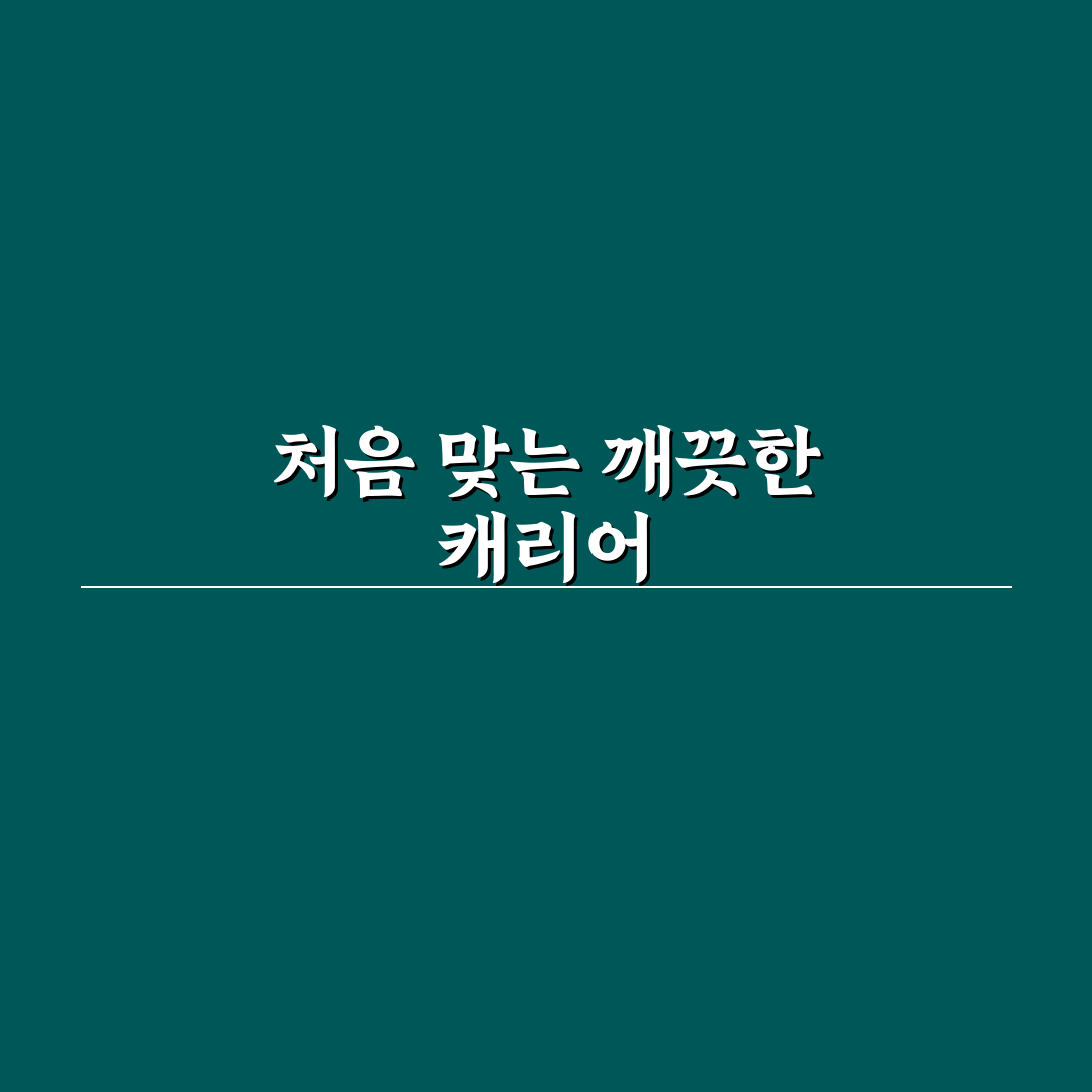 여행 후 캐리어 보관 깔끔하게 하는 청소와 정리 순서 직접 써본 후기