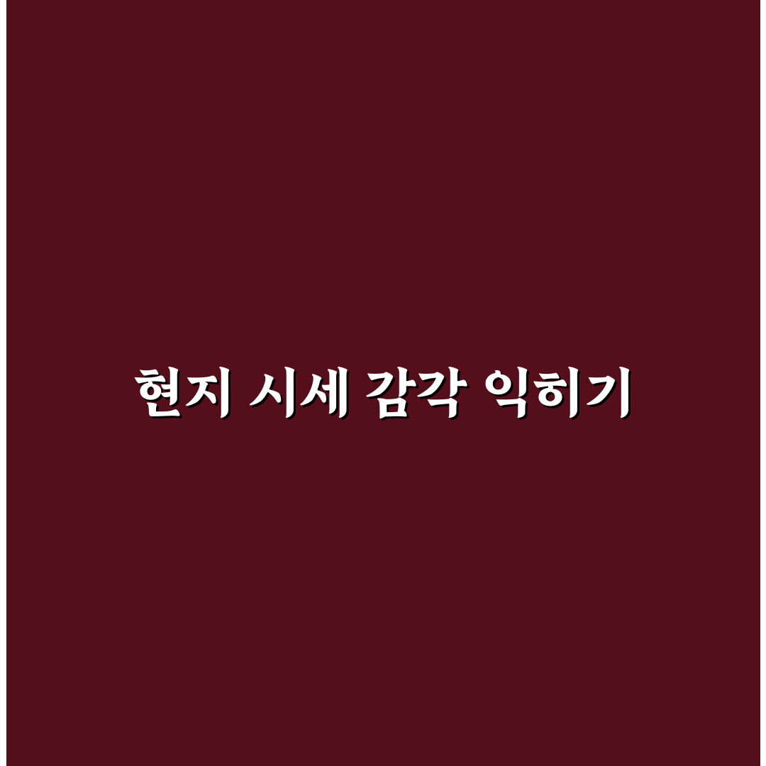 현지인 물가 검색으로 바가지 요금 피하는 준비 방법 리얼후기