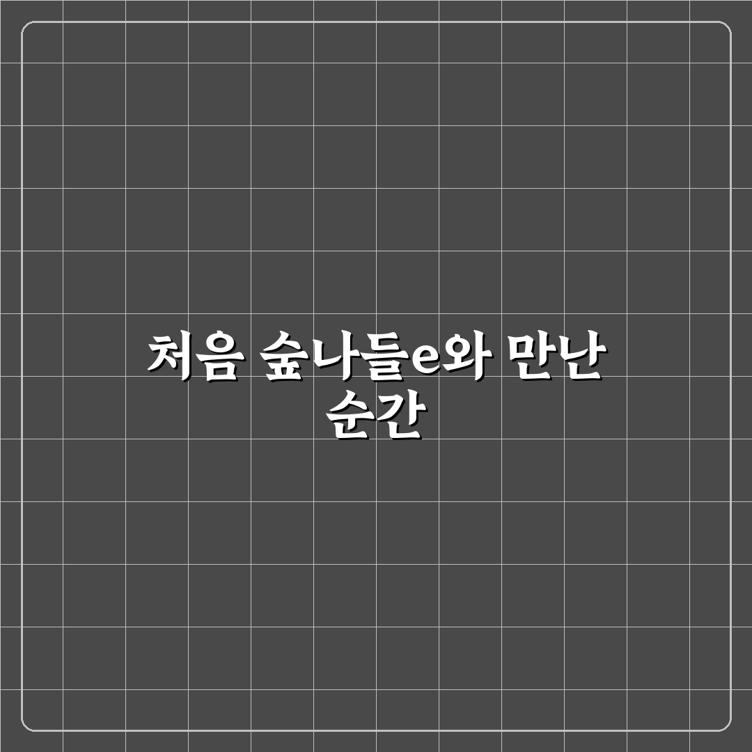 숲나들e 휴양림 예약 성공률 높이는 방법과 비용 절약법 솔직후기