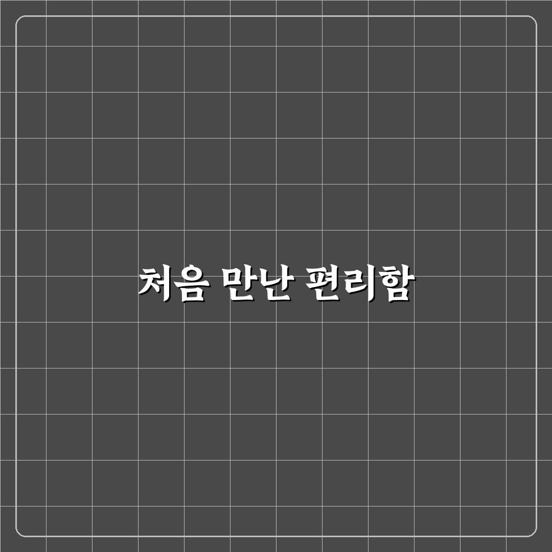 어메니티 챙겨도 되는 품목과 반출 기준 정리 사용후기