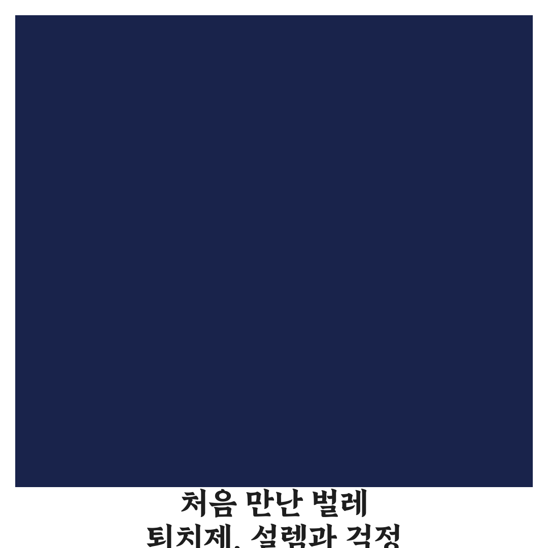 벌레 퇴치제 사용법과 상황별 뿌리는 타이밍 정리 리얼후기
