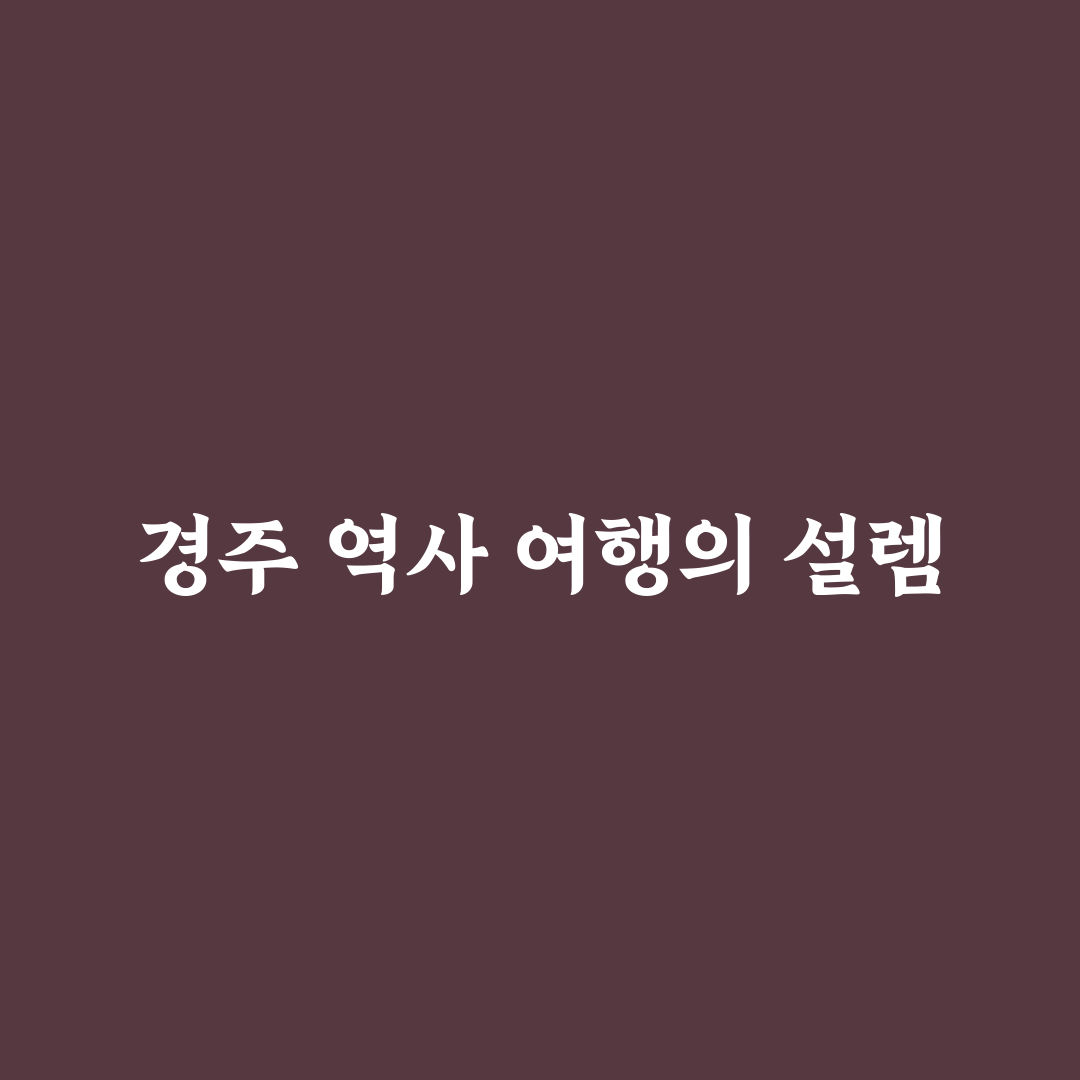 경주 역사 탐방 코스와 유적지 효율적으로 도는 순서 직접 써본 후기