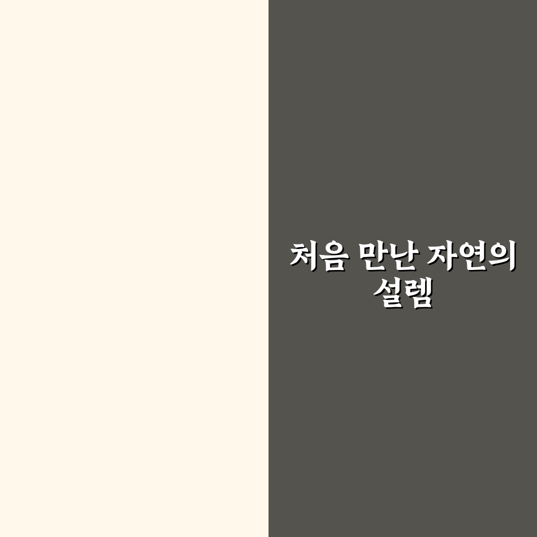 수목원 나들이 예산 줄이면서 알차게 다녀온 솔직후기