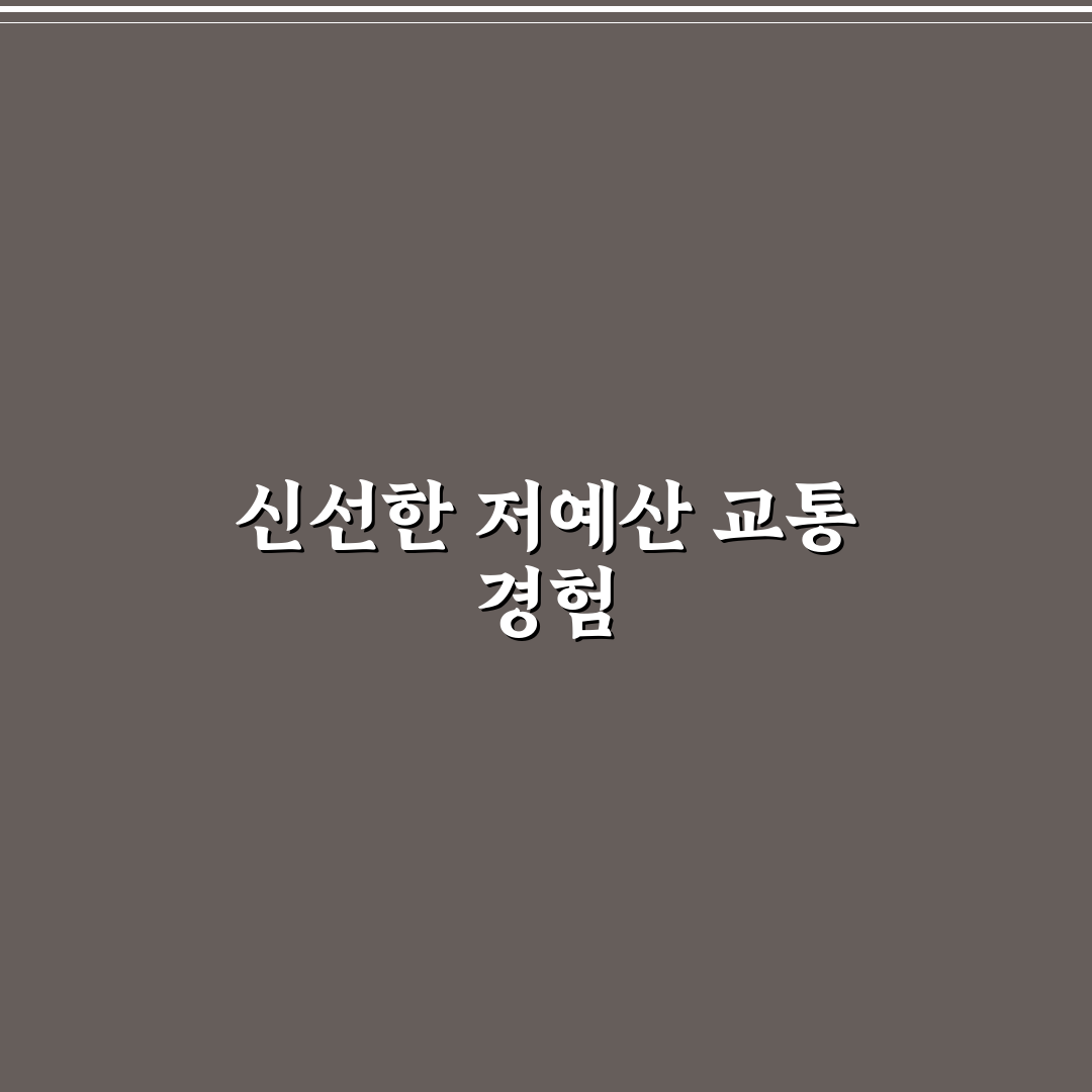 뚜벅이 여행자에게 유리한 저예산 교통 코스 직접 써본 후기