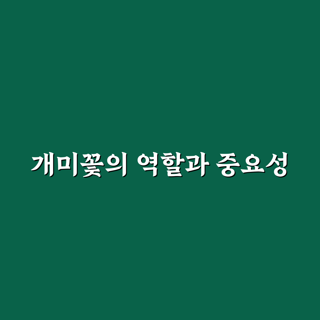 개미꽃 키우기 꿀팁과 관리 방법 정리