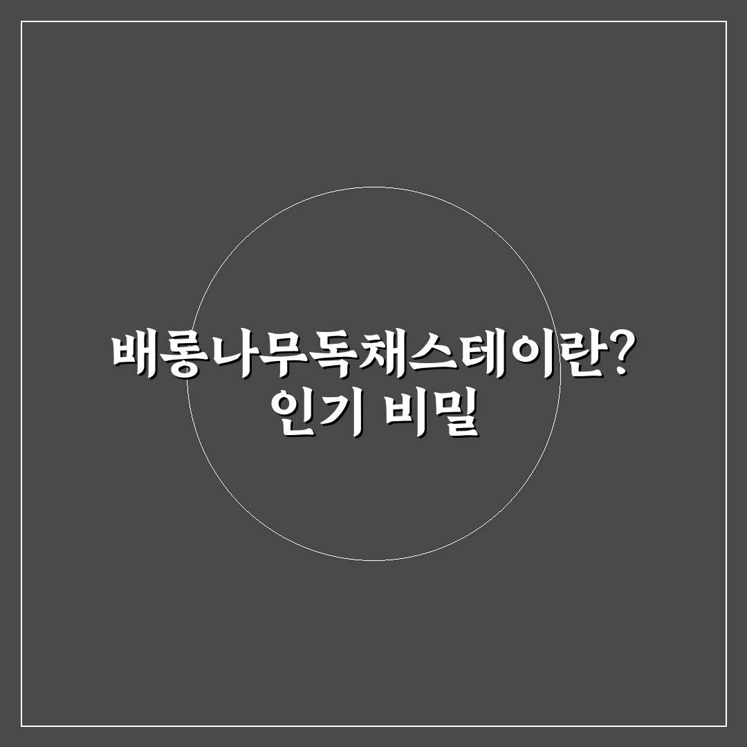 배롱나무독채스테이 추천 꿀팁과 이용 후기 정리
