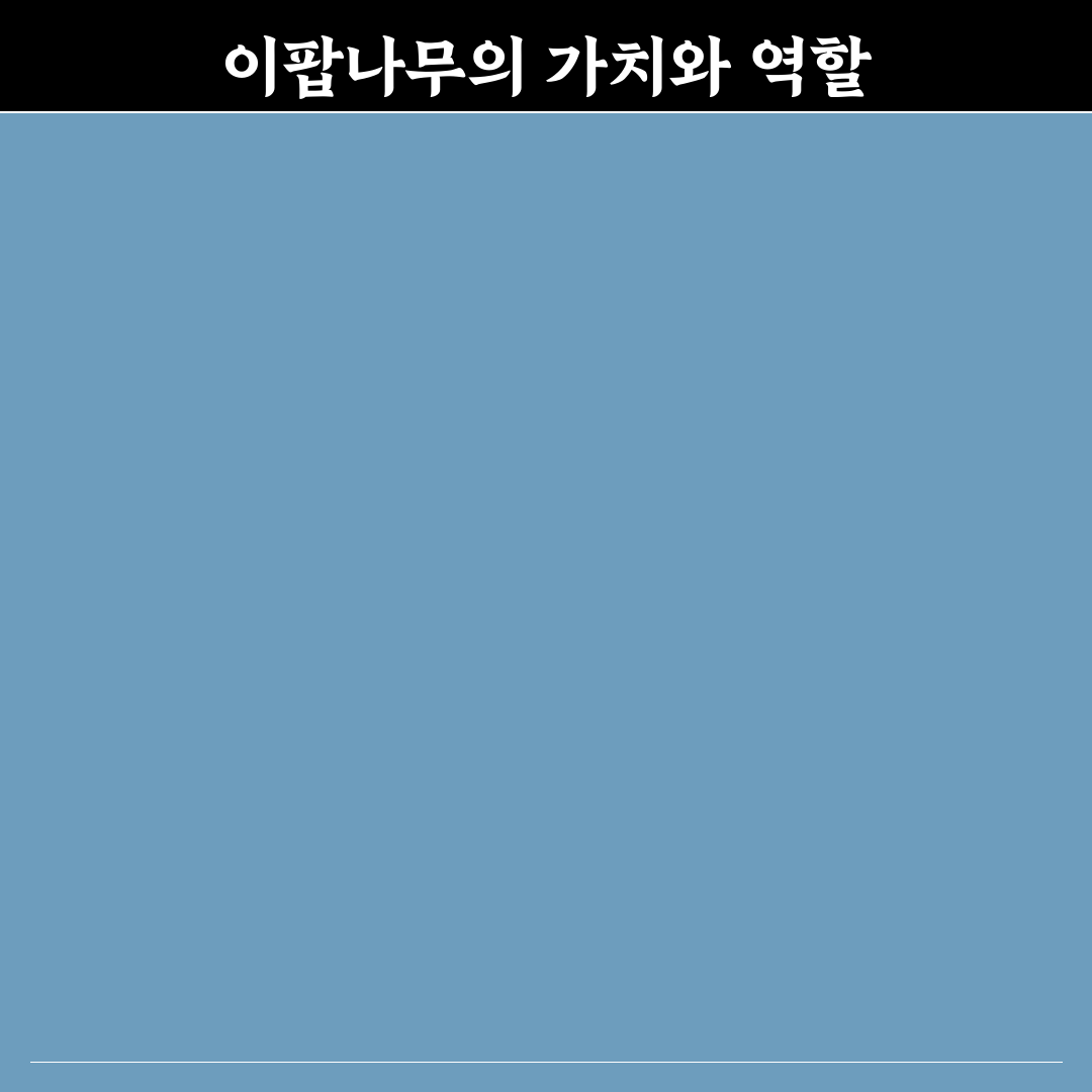 이팝나무 묘목 심는 방법과 관리 꿀팁 정리