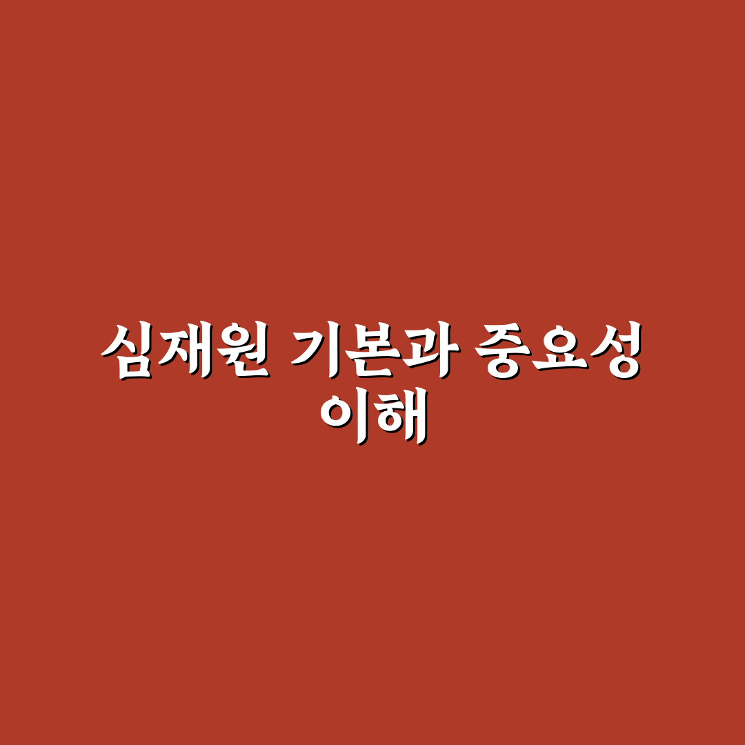 심재원 활용법과 꿀팁 쉽게 정리한 글