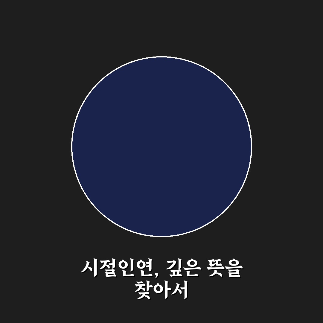 시절인연 가사 쉽게 이해하는 방법과 꿀팁 공유