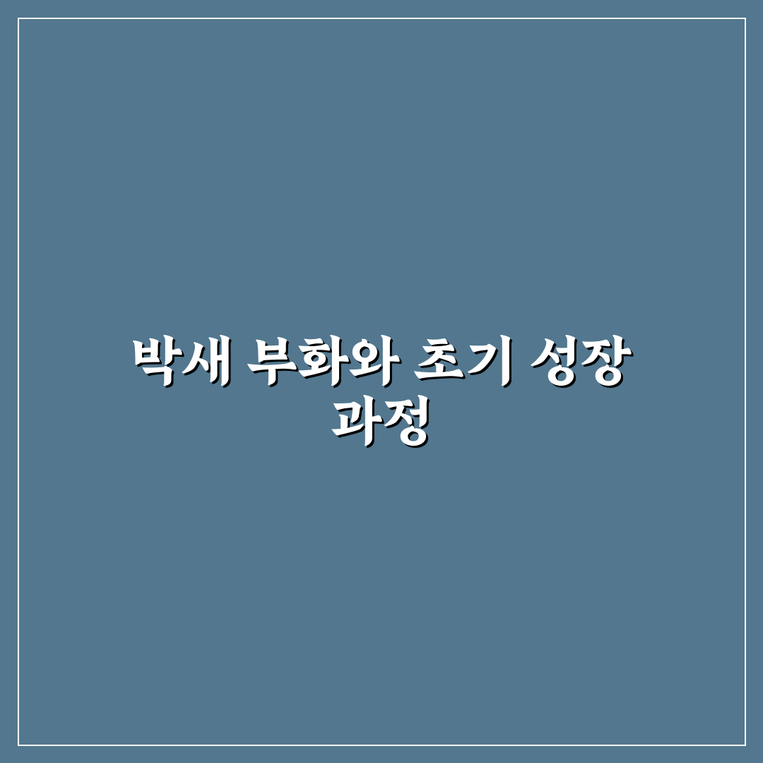 박새 부화기간과 특징 쉽게 알려드려요