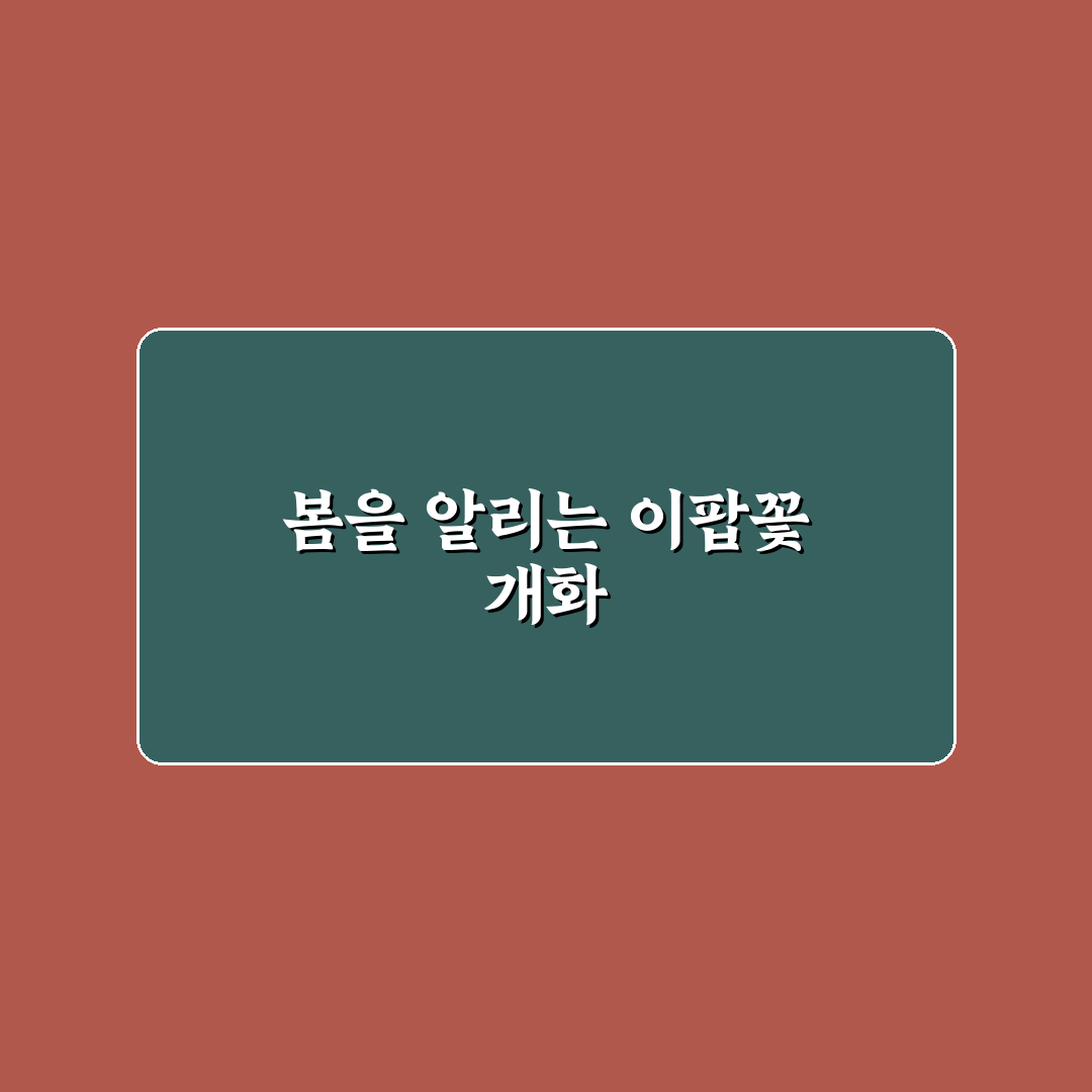 이팝나무 개화시기와 특징 쉽게 알려드려요