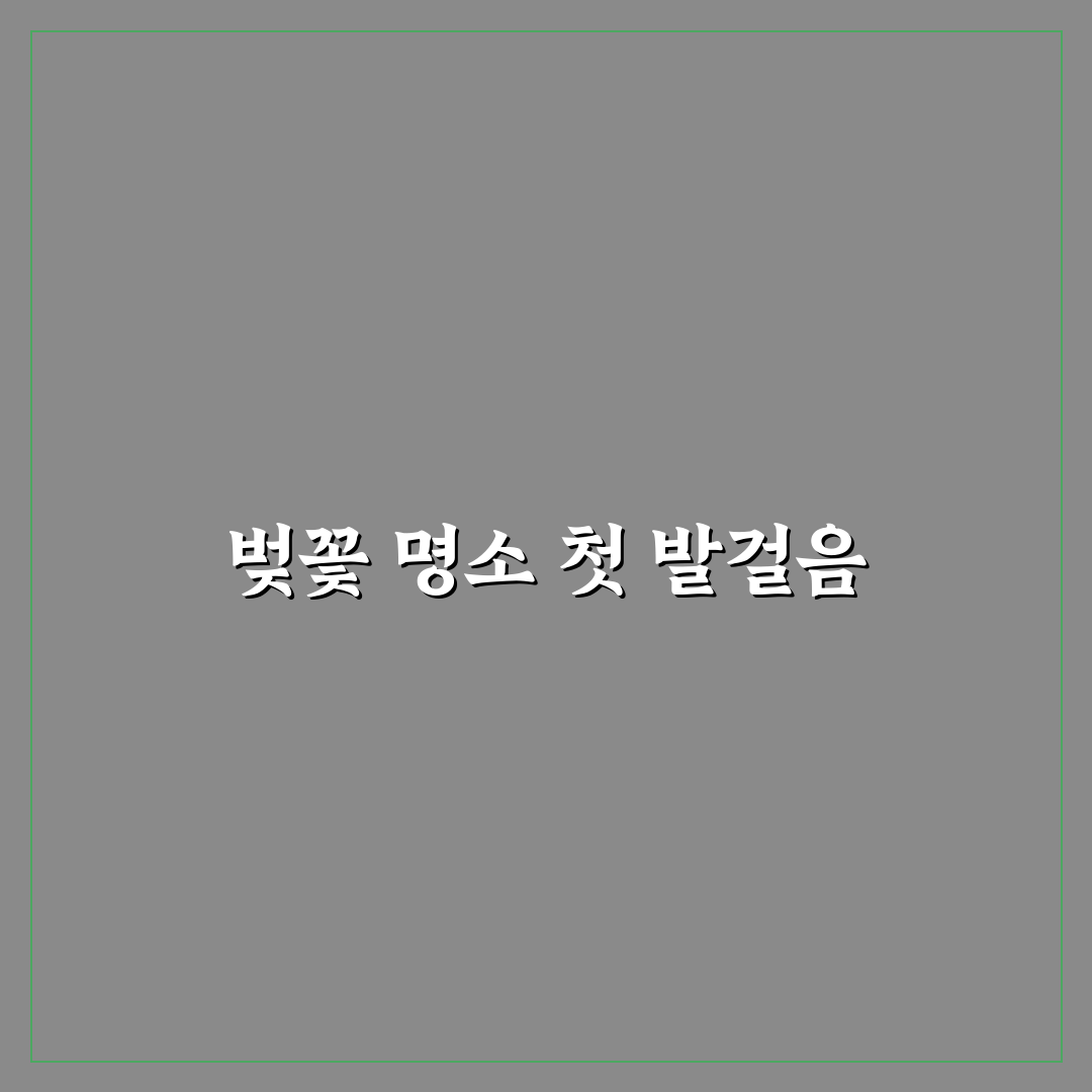 벚꽃 명소 중 입장료 없이 즐기기 좋은 곳 총정리 솔직후기