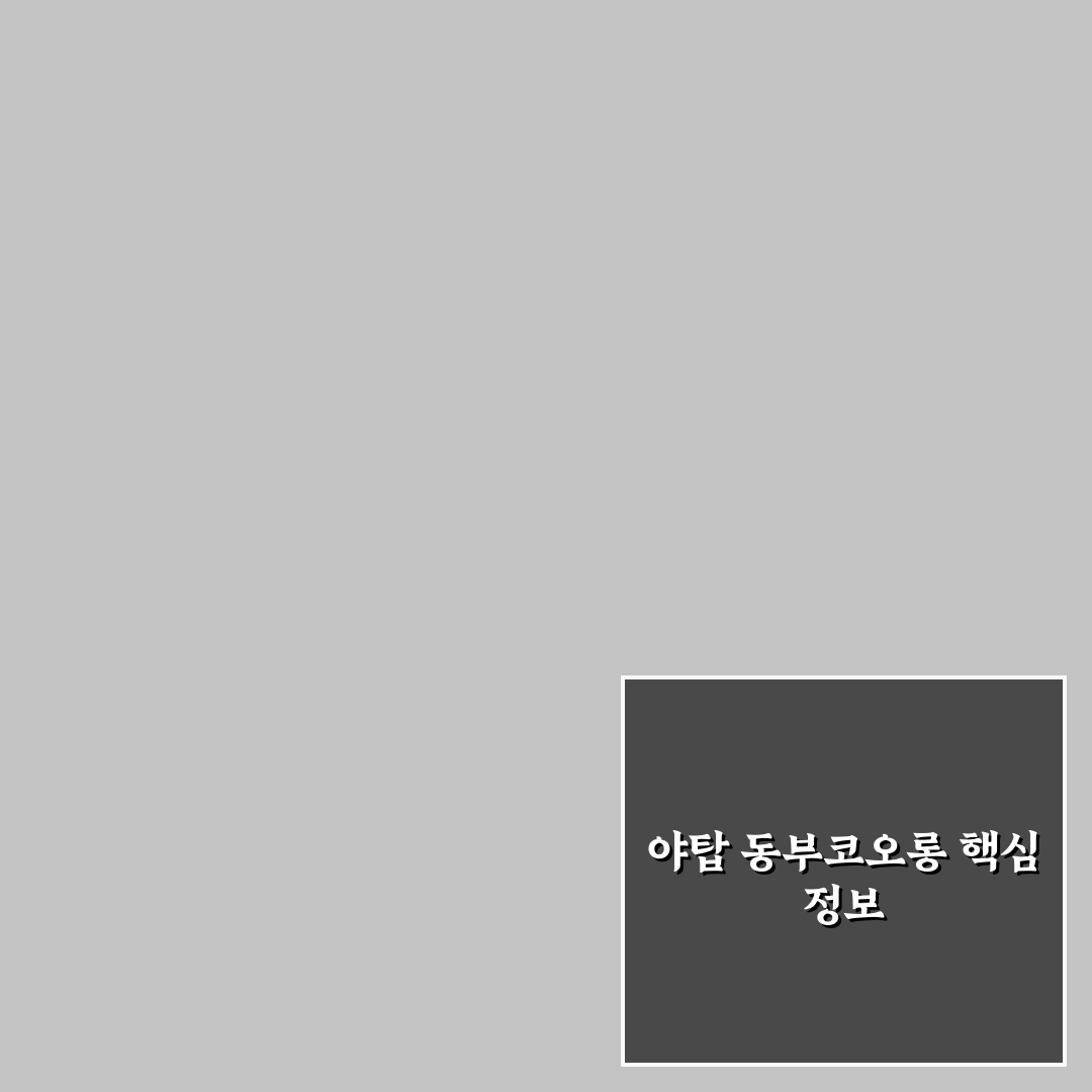 야탑 동부코오롱 입주 전 알아두면 좋은 꿀팁 공유