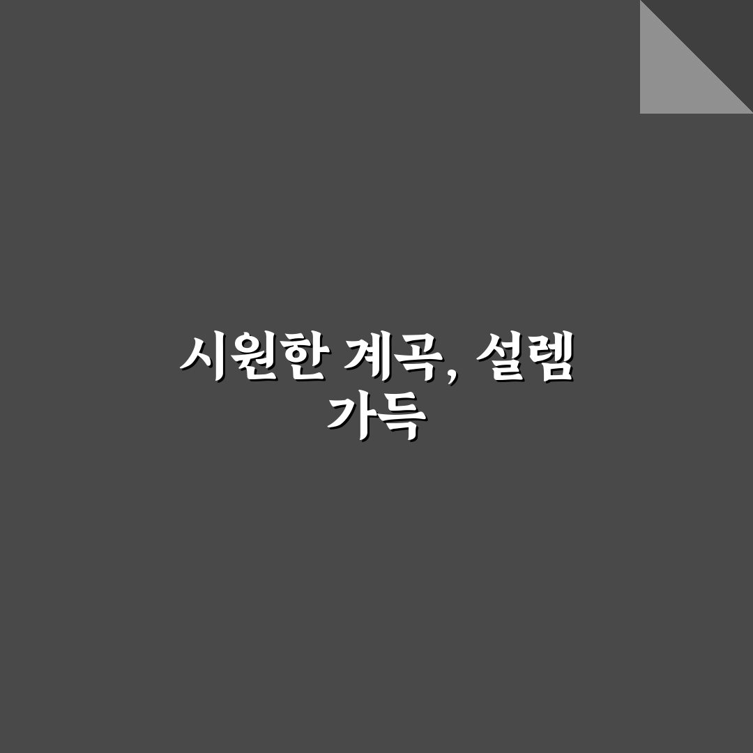 여름 계곡 물놀이 코스와 피서 동선 알차게 짜는 법 직접 써본 후기