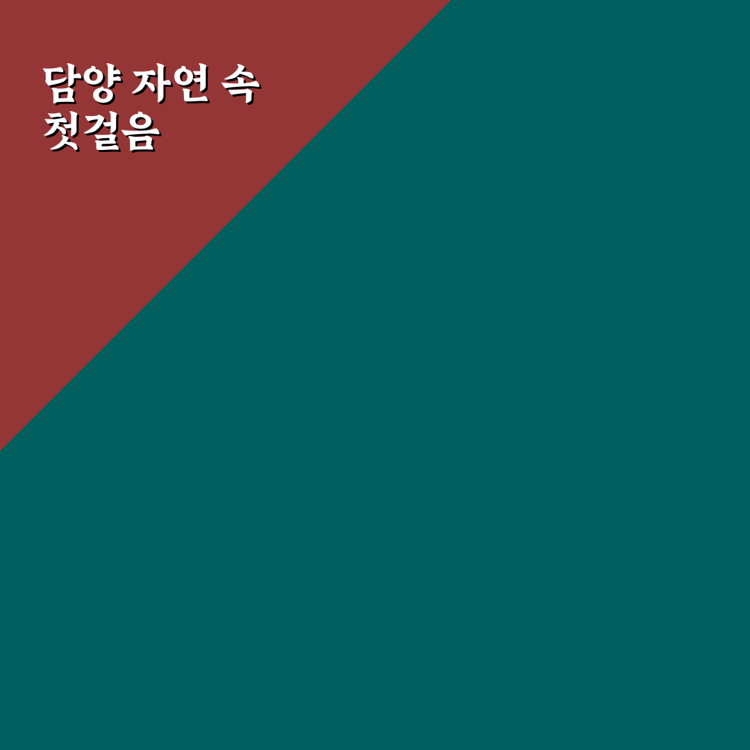 담양 죽녹원 산책 코스와 메타세쿼이아길 동선 직접 써본 후기