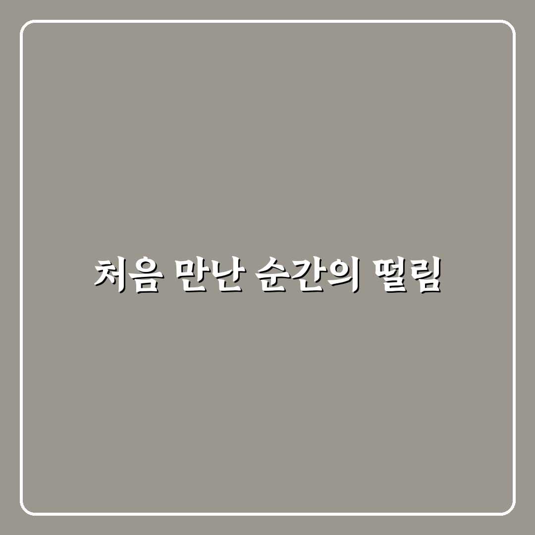 호객 행위 거절하는 법과 불편하지 않게 말하는 표현 사용후기