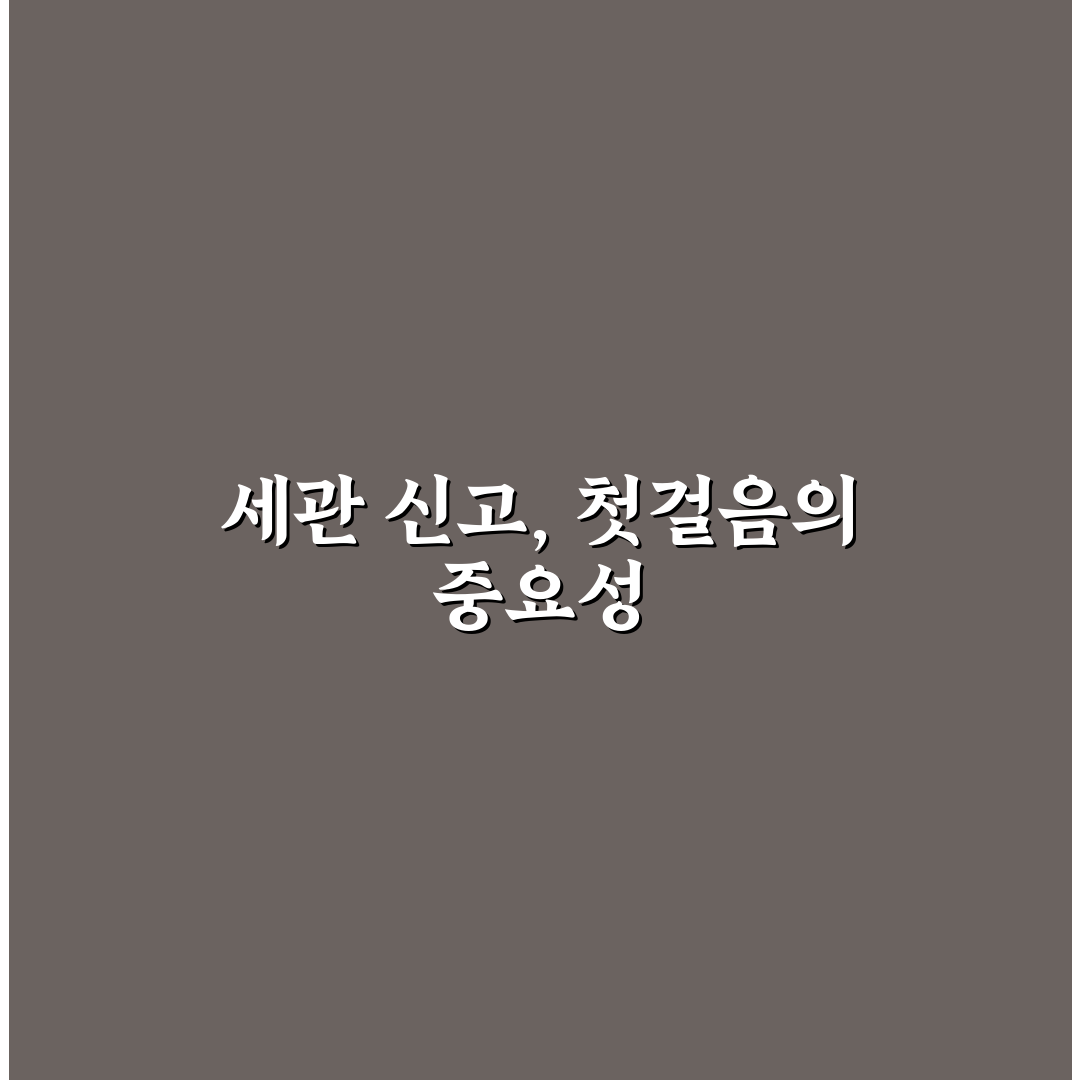 세관 자진 신고 혜택과 미신고보다 유리한 상황 직접 써본 후기