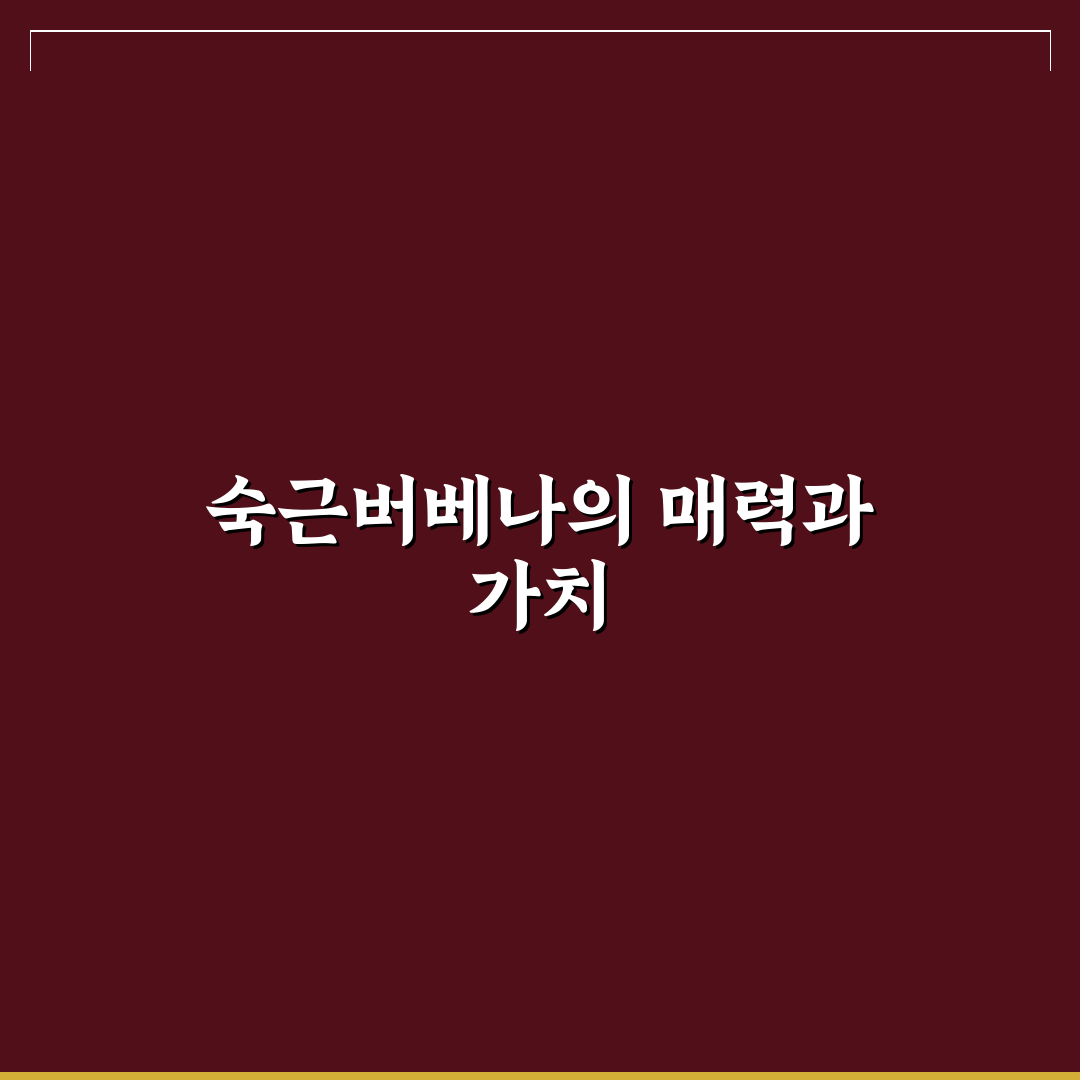 숙근버베나 키우는법과 관리 꿀팁 쉽게 알려드려요