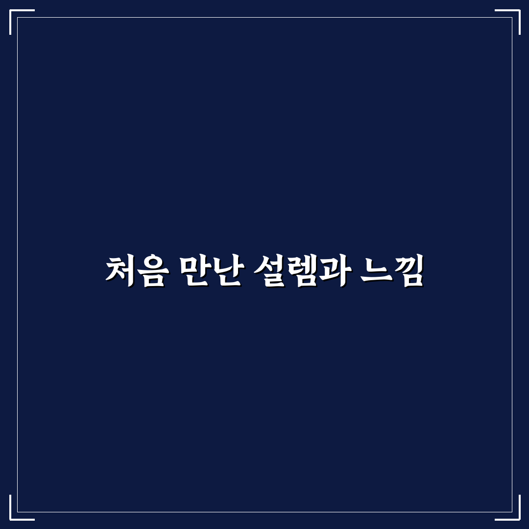 실시간 교통 상황 확인 앱 비교와 정확도 높은 선택법 사용후기