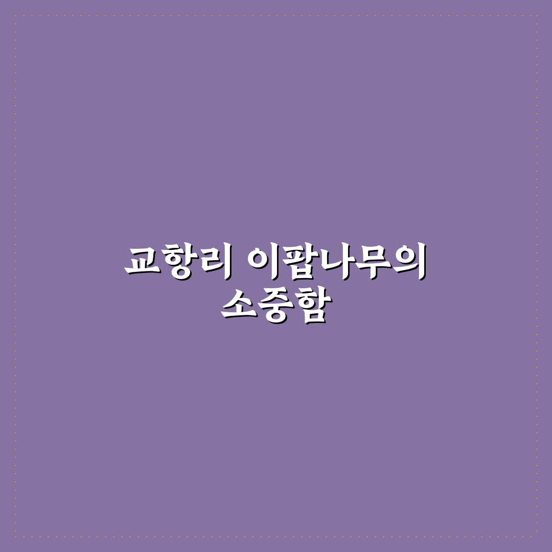교항리 이팝나무 군락지 방문 꿀팁과 풍경 소개