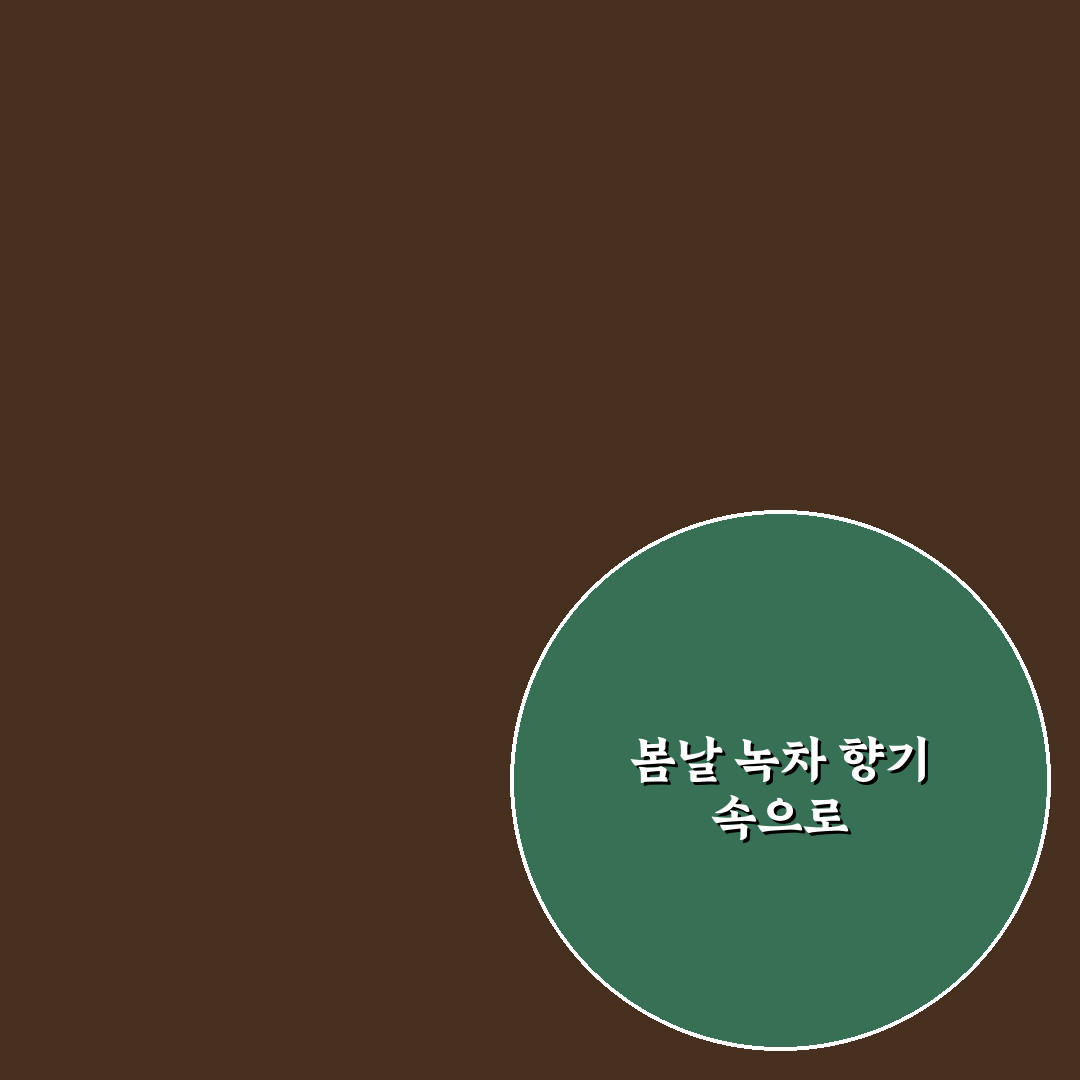 보성 구례 녹차 코스와 봄 산책 여행 일정 짜는 법 솔직후기