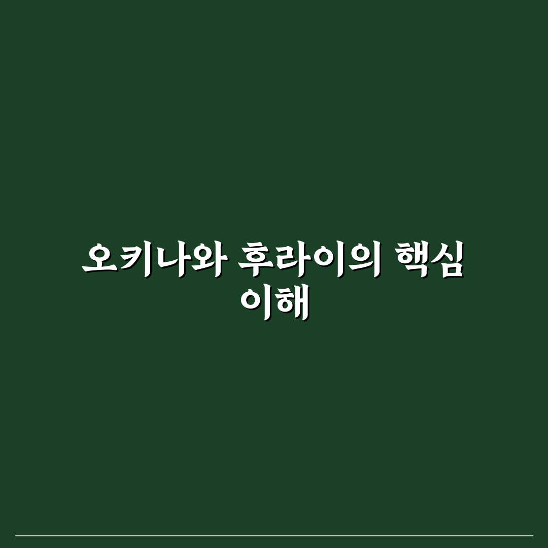 오키나와 후라이 핵심 정보와 이용 꿀팁 알려드려요