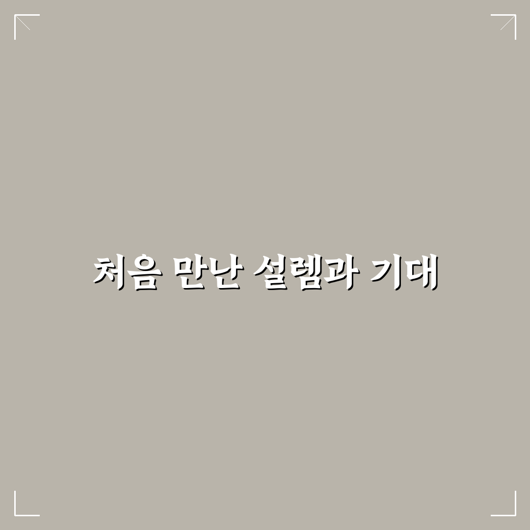 짐 배송 서비스 가격 비교와 역 공항 활용 팁 직접 써본 후기