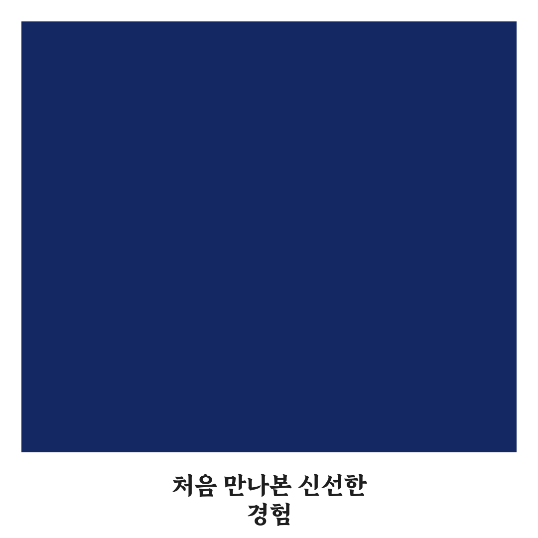 번역 앱 파파고 활용해 메뉴판과 대화 쉽게 읽는 법 사용후기