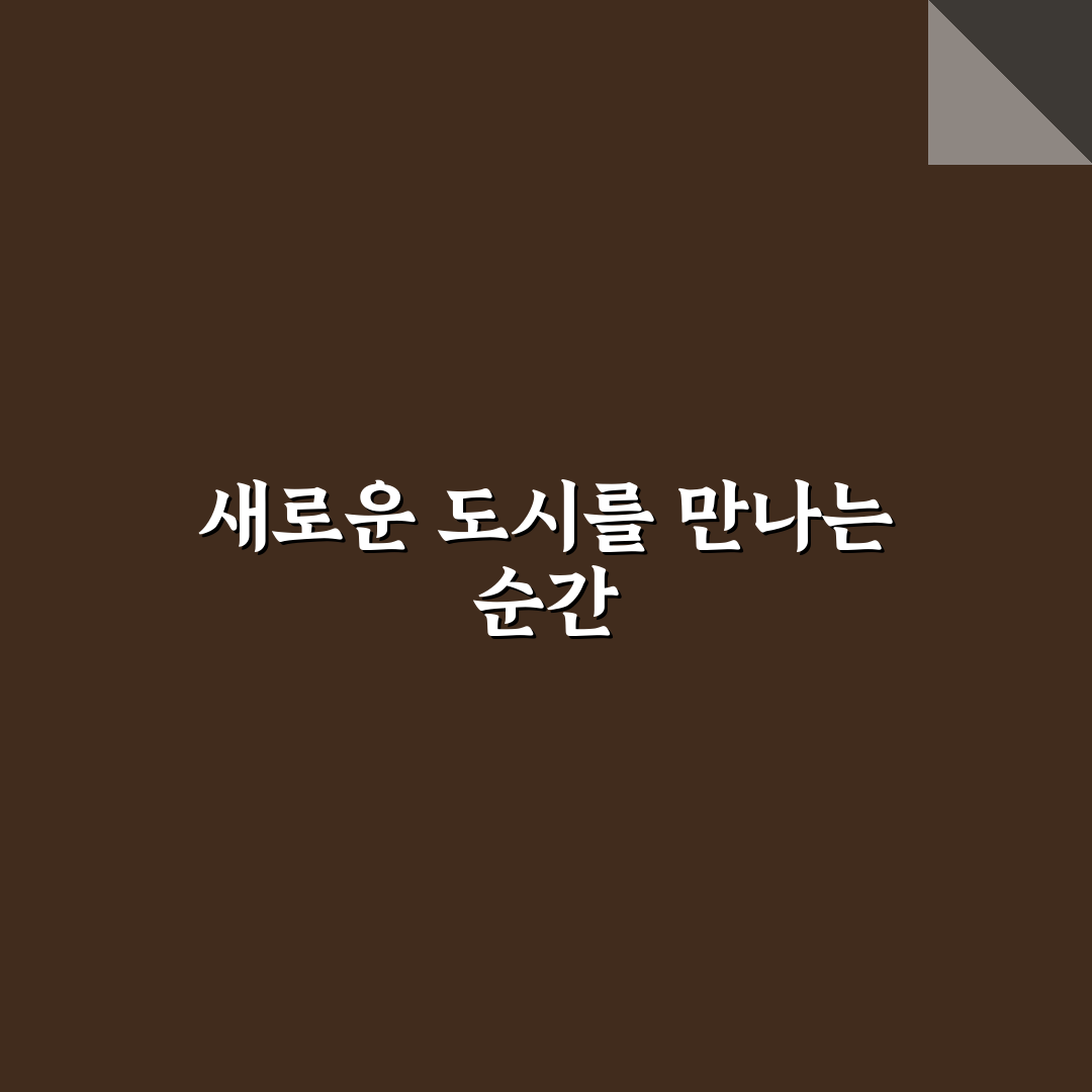 수륙양용버스 이용료와 일반 시티투어 차이 비교 정리 직접 써본 후기