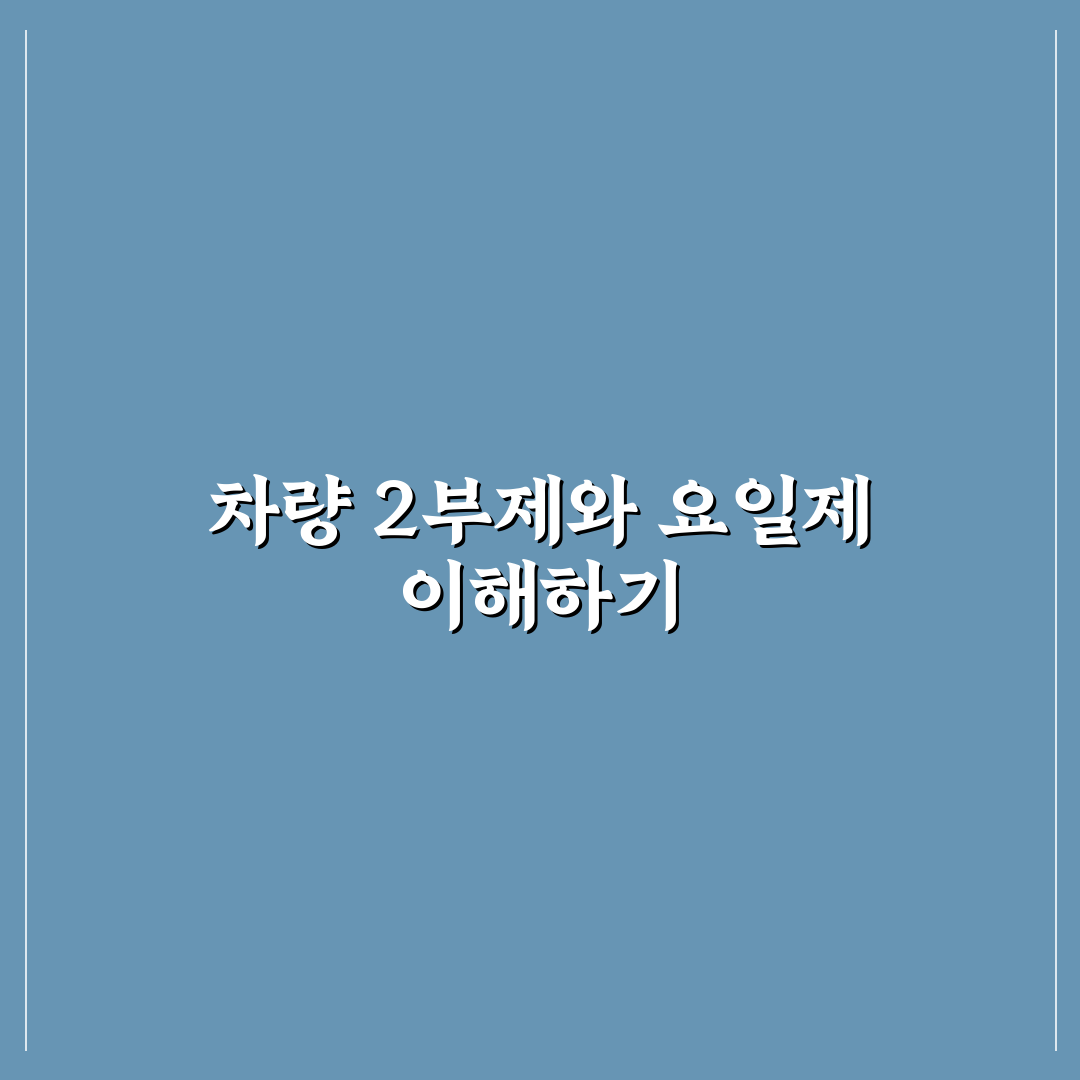 차량 2부제 요일제 비교와 추천 방법 정리