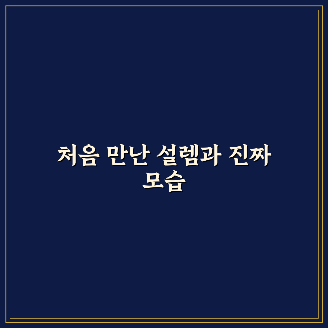 트래블 카드 사용 후기와 해외 결제 수수료 비교 포인트 정리