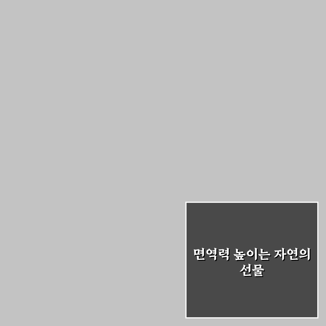 영양 어수리나물 활용법과 꿀팁 알려드려요