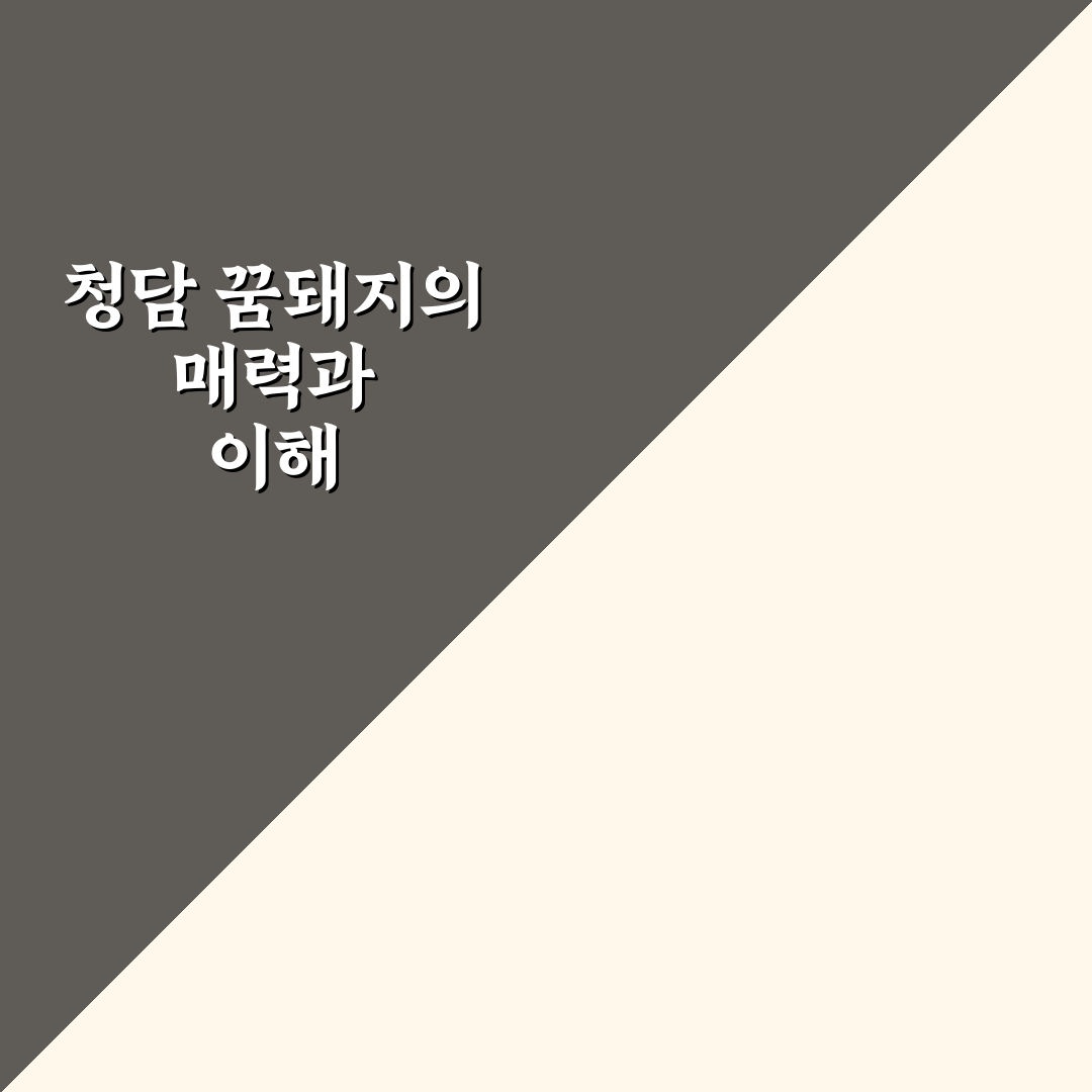 청담 꿈돼지 방문 전 알아두면 좋은 꿀팁 정리