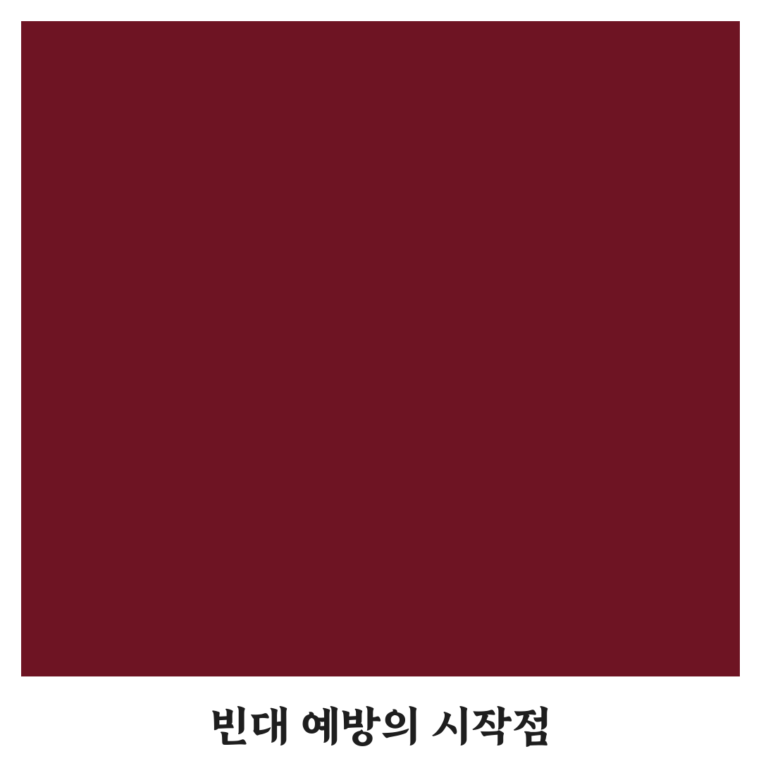 빈대 예방 위해 침구와 매트리스 보는 법 총정리 사용후기